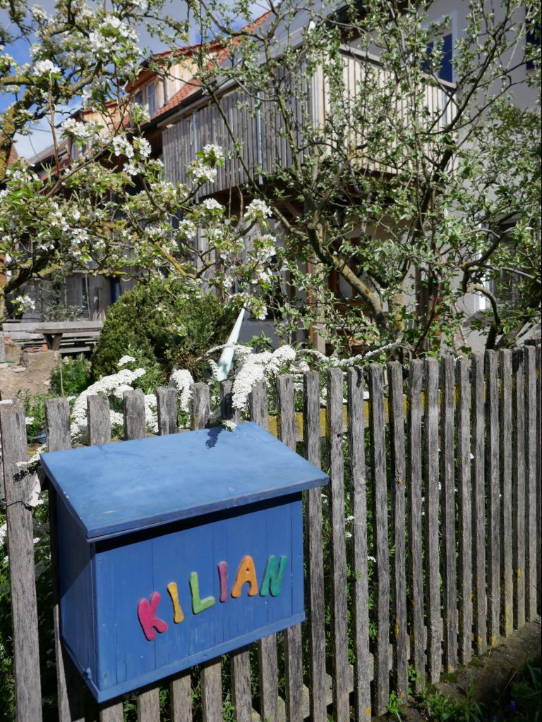 Blau bemalter Briefkasten am Zaun unseres Hofes mit blühenden Bäumen und Pflanzen im Hintergrund